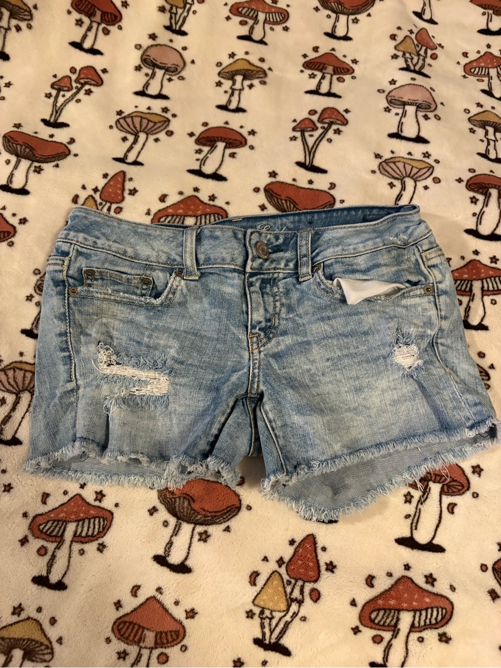 American Eagle Women’s Low Rise Light Blue Distressed Denim Shorts Size 2